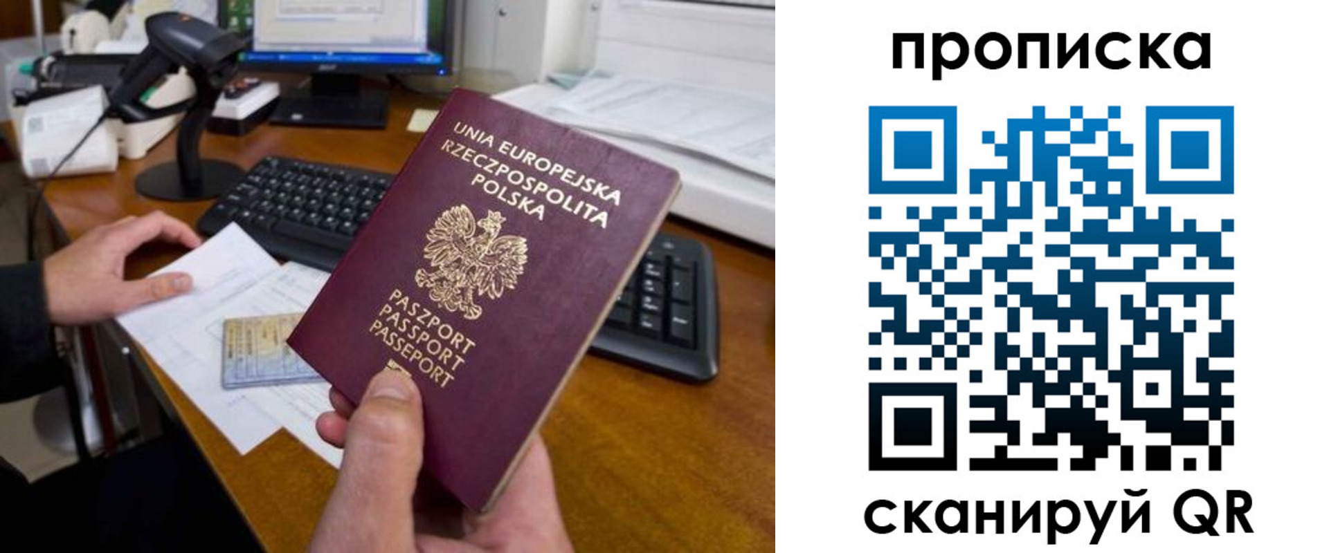 прописка для школы в Моздоке